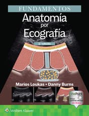 Fundamentos. Anatomía por ecografía