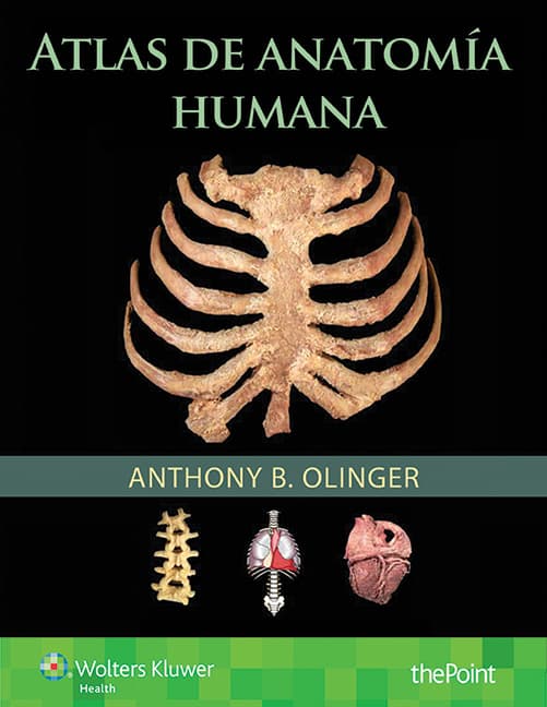 Atlas de anatomía humana