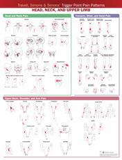 Travell, Simons & Simons’ Trigger Point Pain Patterns Wall Chart