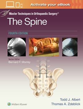 Back & Spine Support – SIG Orthopaedic