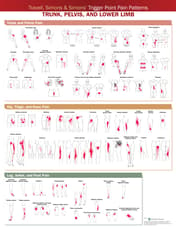 Travell, Simons & Simons’ Trigger Point Pain Patterns Wall Chart