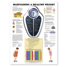 Maintaining A Healthy Weight