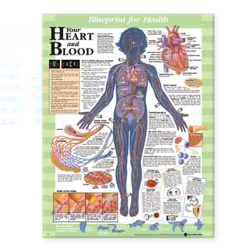 Blueprint for Health Your Heart and Blood Chart