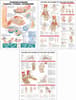 Hand and Wrist, Foot and Ankle, and Carpal Tunnel Syndrome (3) Three Chart Package