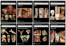 Acland’s Video Atlas of Human Anatomy Collection
