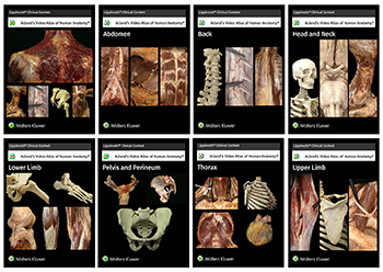 Acland’s Video Atlas of Human Anatomy Collection