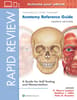 Rapid Review: Anatomy Reference Guide