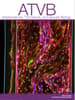 Arteriosclerosis, Thrombosis, and Vascular Biology Online