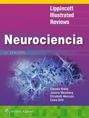 LIR. Neurociencia
