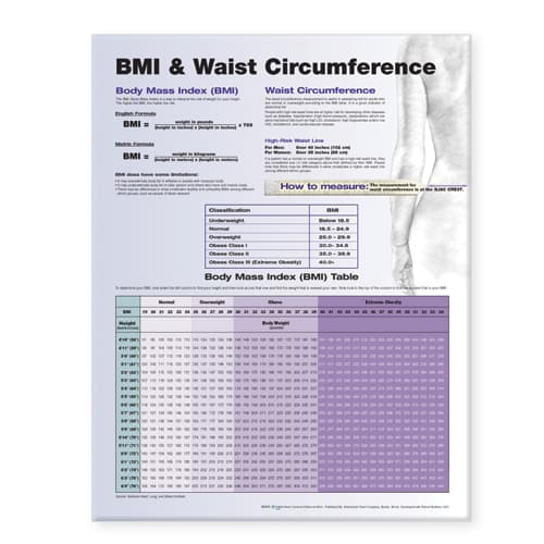 BMI and Waist Circumference