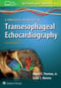 A Practical Approach to Transesophageal Echocardiography