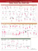 Travell, Simons & Simons’ Trigger Point Pain Patterns Wall Chart