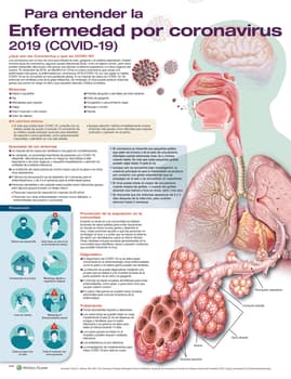 Para entender la Enfermedad por coronavirus 2019 (COVID-19)
