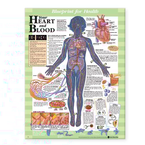 Blueprint for Health Your Heart and Blood Chart