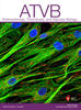 Arteriosclerosis, Thrombosis, and Vascular Biology Online