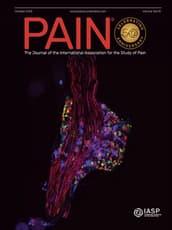 PAIN Online