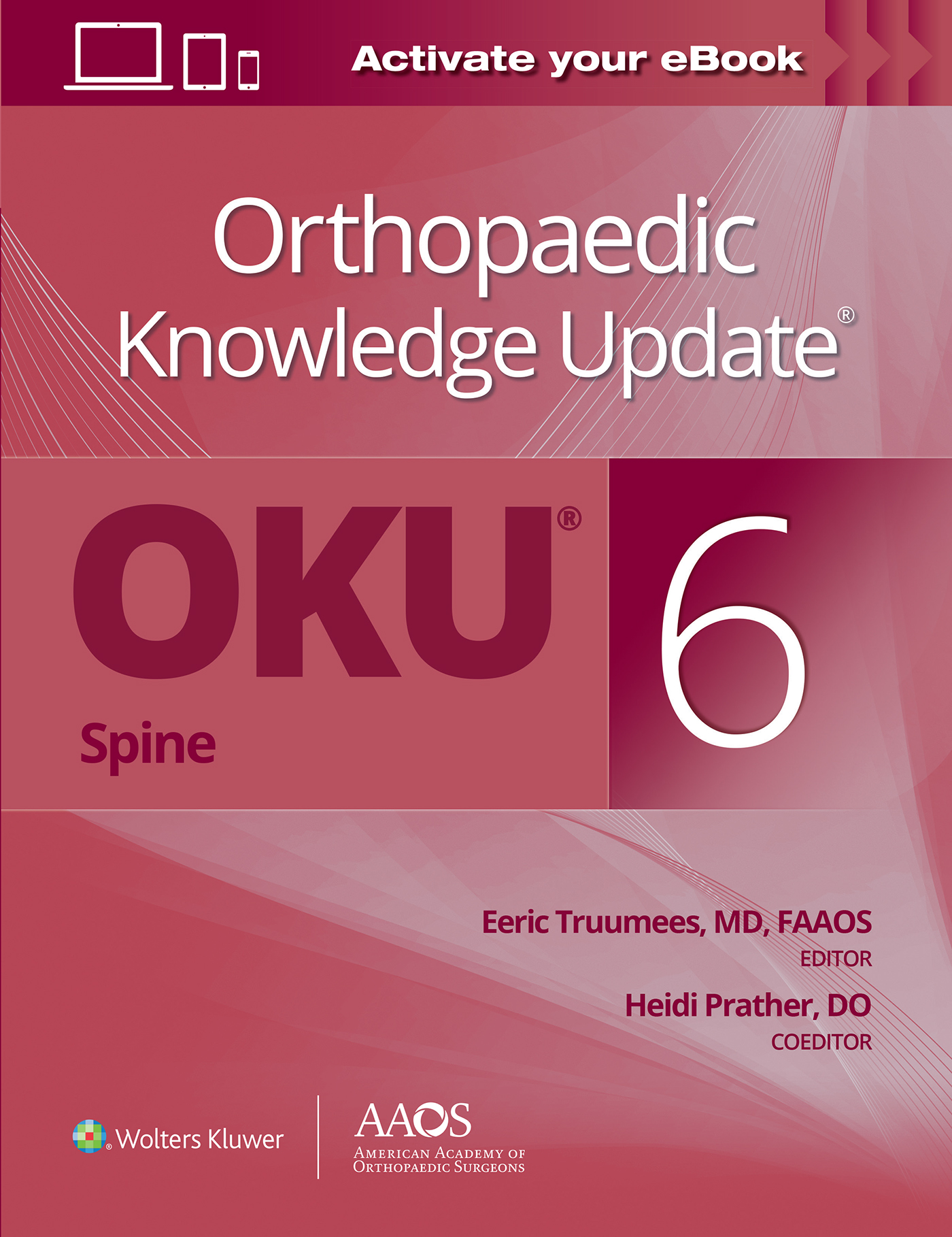 Orthopaedic Knowledge Update?? Spine 6: Print + Ebook