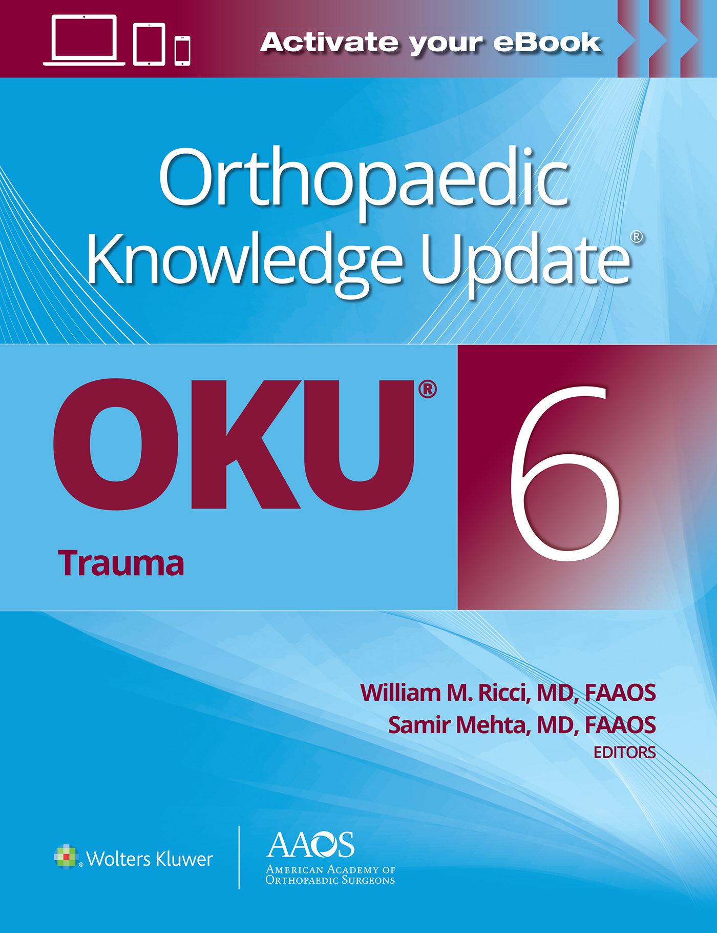 Orthopaedic Knowledge Update??: Trauma 6