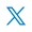 X-icon