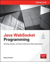 Java WebSocket Programming