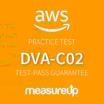 DVA-C02: AWS Certified Developer - Associate practice test