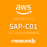 SAP-C01: AWS Certified Solutions Architect - Professional practice test