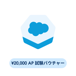 20000 JPY Accredited Professional Exam Voucher
