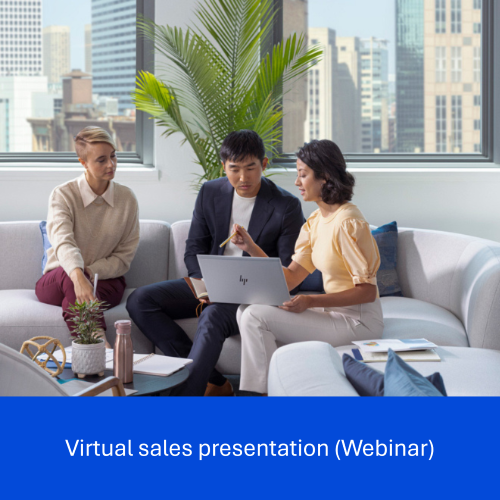Virtual sales presentation (Webinar)