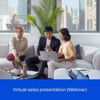 Virtual sales presentation (Webinar)