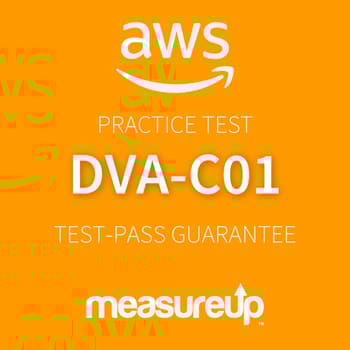 AWS-Certified-Developer-Associate Online Prüfung
