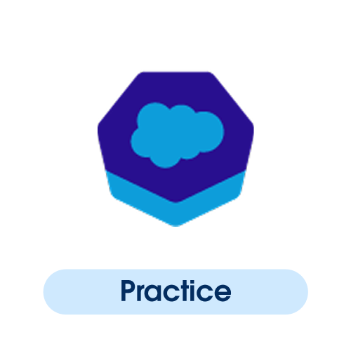 Salesforce Practice Exam Voucher - JP