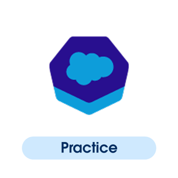 Salesforce Practice Exam Voucher - JP