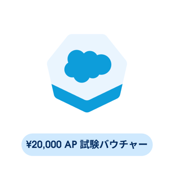 20000 JPY Accredited Professional Exam Voucher
