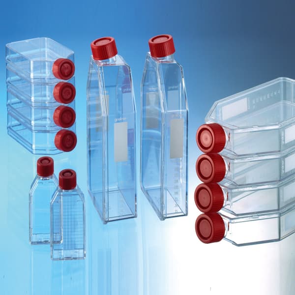 CELLSTAR® Cell Culture Flasks