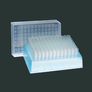 1.1 mL Tube In Strips Of 12, Shown in Rack