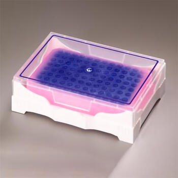 ArcticIce PCR Tube Rack, Purple-Pink