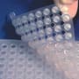 Tempplate PCR Plate Sealing Mat Close Up