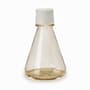 Polycarbonate Erlenmeyer Cell Shaker Flask, 1000 mL, Baffled Bottom