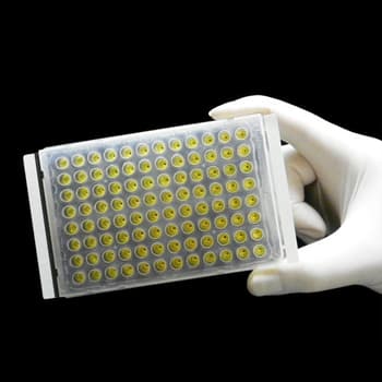 TempPlate XP PCR sealing film, non-sterile