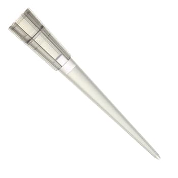 100 ML Beveled Tip 