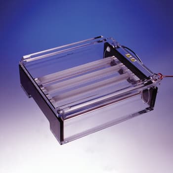 23 x 14 cm DNA Plus Agarose Gel System