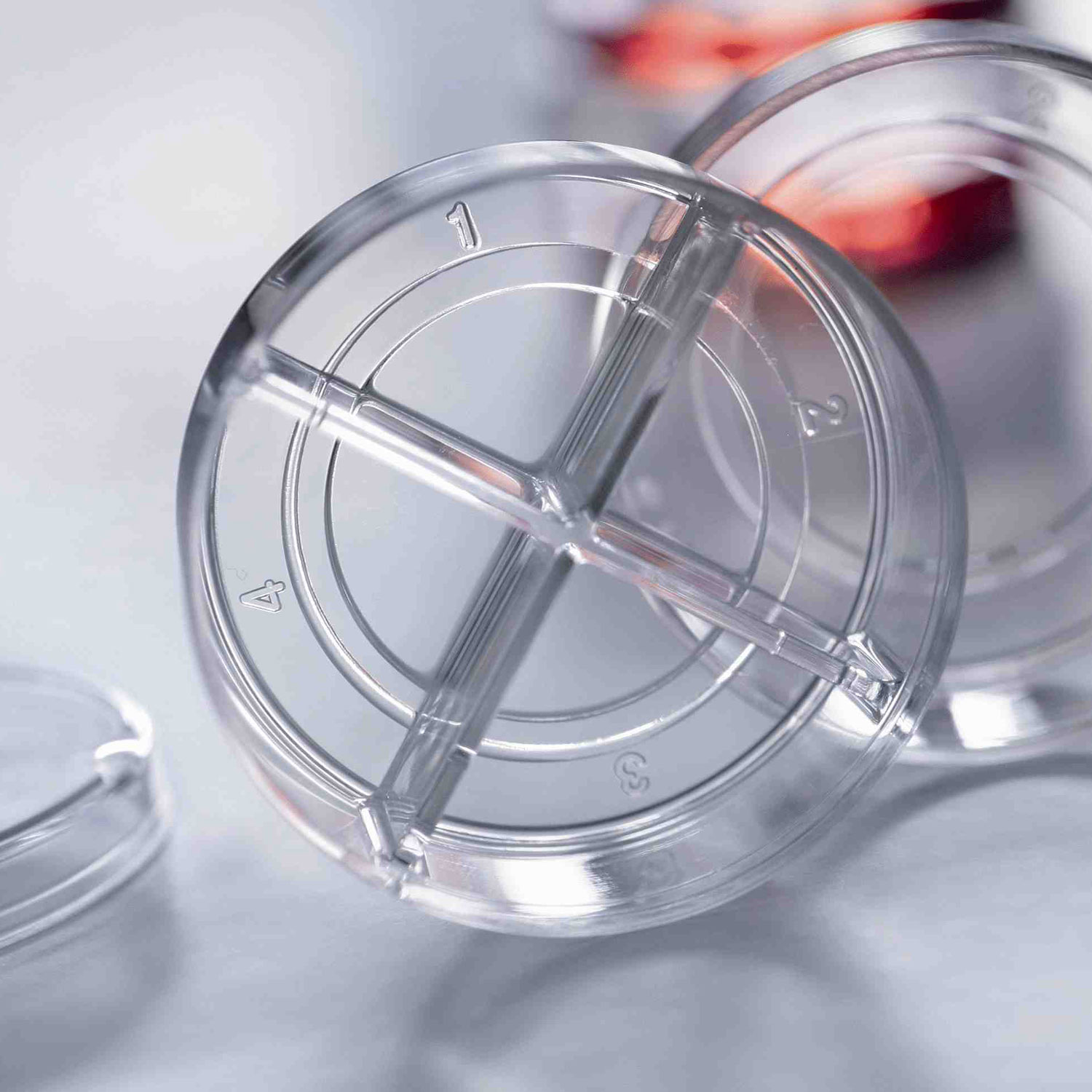 CELLview Cell Culture Dish, Four Compartments