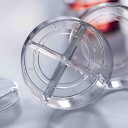 CELLview Cell Culture Dish, Four Compartments, Closeup