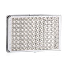 White, 96-well, polystyrene ​microplate.  Half-area