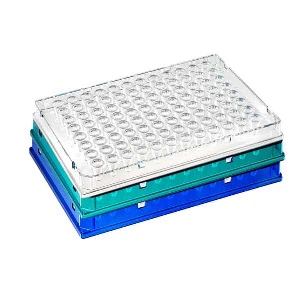 TempPlate Rigid PCR Plates 