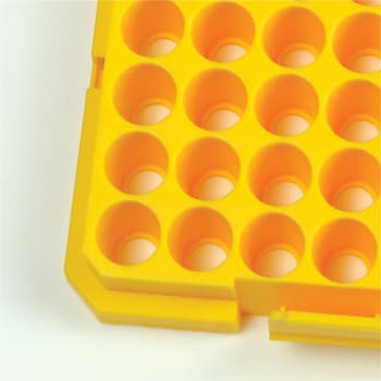 Recessed tip compartments reduce movement for easier tip application.