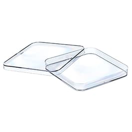 Square Petri Dish, Greiner Bio-One