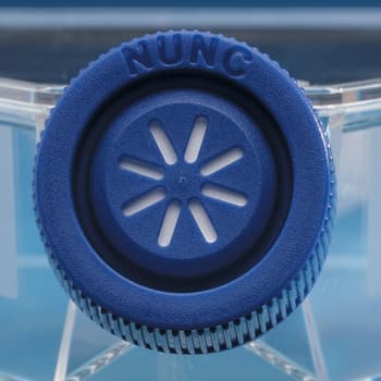 Nunclon Filter Cap Flask, Closeup