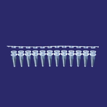 0.2 mL PCR 12-tube strip with flat 12-cap strips, natural