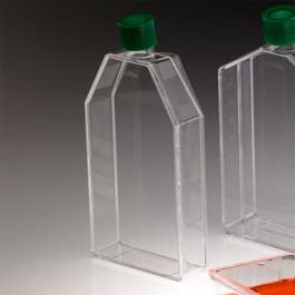 CytoOne Flasks, 2-Position Cap